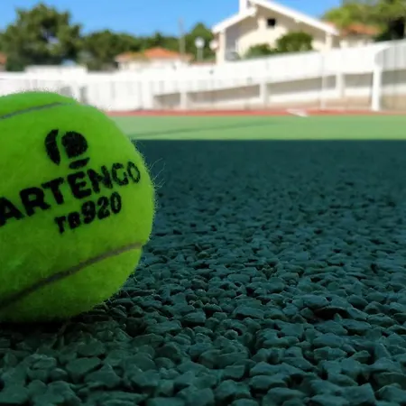 Cazenn - Z * Nazaré