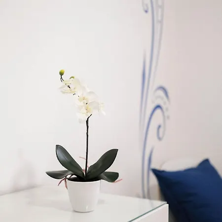 Cazenn - Z Apartmán