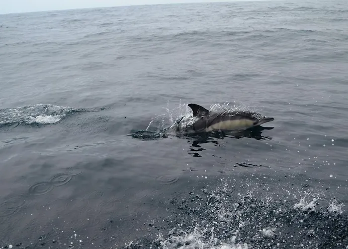 Cazenn - Z דירה נאזרה